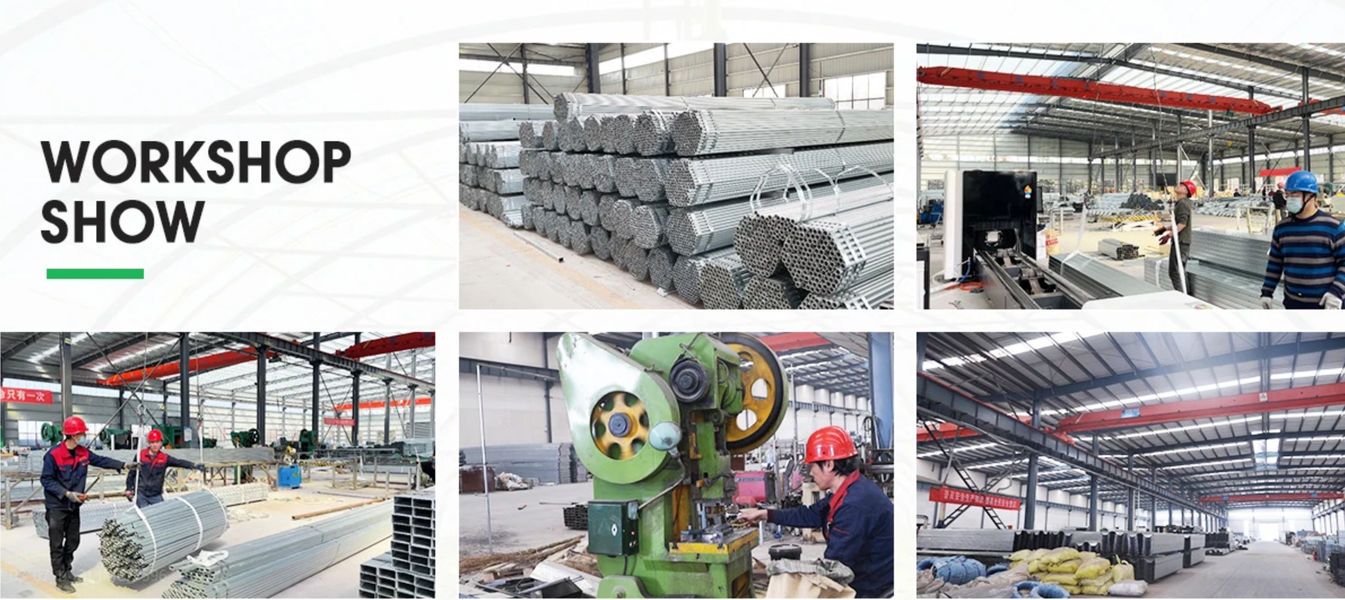 Shandong Lisent Agricultural Technology Co., Ltd. 製造者の生産ライン